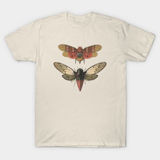 Butter bugs T-Shirt by anitaacollages